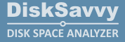 DiskSavvy Logo