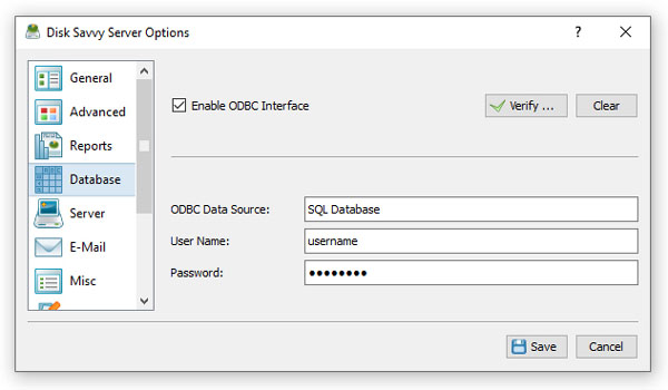 DiskSavvy SQL Database Configuration Options