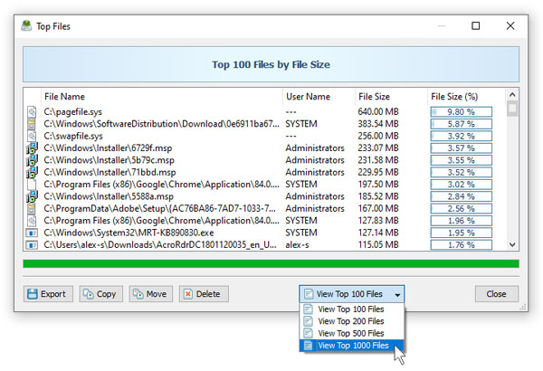 DiskSavvy Top 100 Files by File Size
