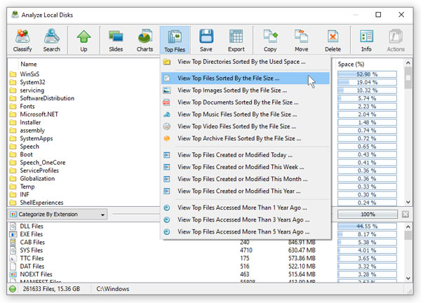 View Top 100 Files by File Size